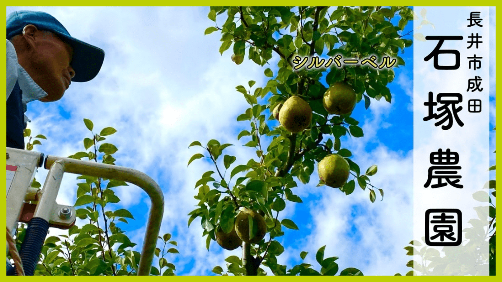 ishizyka-farm-banner